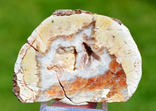Calcedoine var agate - var., &