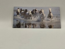 Nestlé MERVEILLES DU MONDE