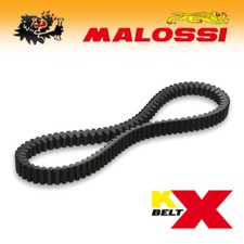 6116011 [MALOSSI] Courroie