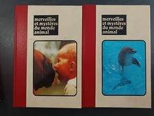Merveilles et mystères du