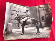 Photo ancienne  équitation cheval et cavalier