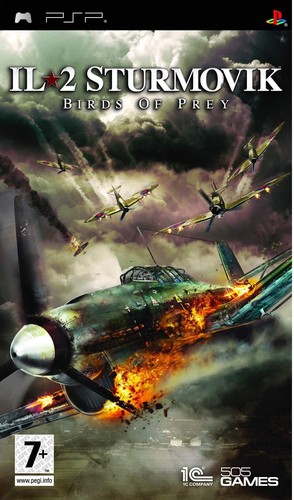 Sturmovik birds of prey - birds,