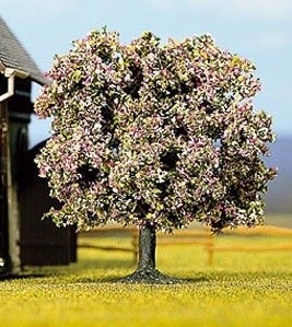 Noch fruit tree flowery - noch, 7.5