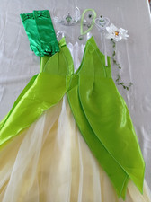 Déguisement robe de Princesse