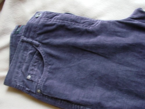 Pantalon brax velours ras - pantalon,