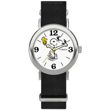 Montre Homme Timex TW2Y60900
