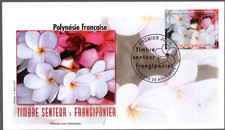 775-  POLYNESIE  ENVELOPPE    1er JOUR     TIMBRE SENTEUR  FRANGIPANIER