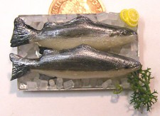 Maison De Poupée Poisson ZG x