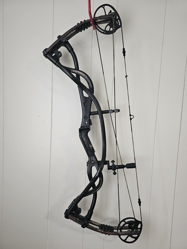 Hoyt carbon matrix - matrix, compound