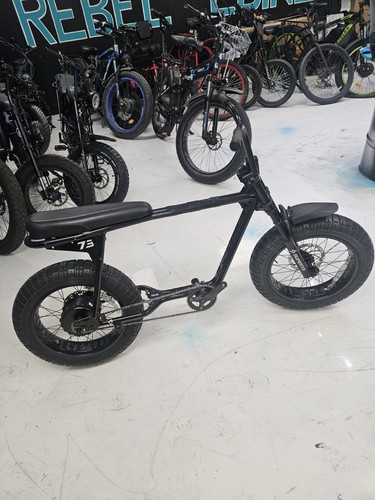 Super ebike frame - s2, fork