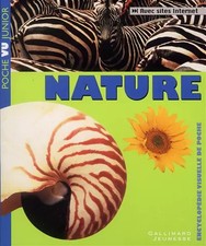 Nature, Scarlett O'Hara et