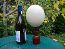 Gros oeuf d autruche ancien pied bois marotte chapeau objet cabinet de curiosité