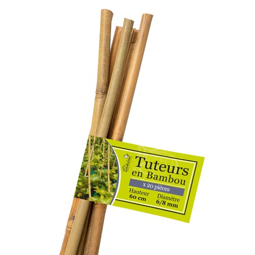 Lot tuteur bambou - tuteur,