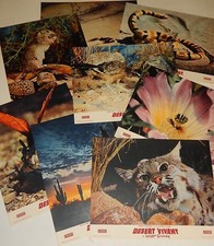 Lot 8 photos d'exploitation : Film DESERT VIVANT de Walt DISNEY - CINEDIS LOT 1