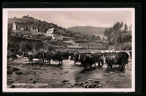 Carte postale altenbrak - altenbrak, /