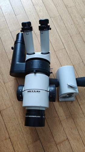 Stéréomicroscope wild - stéréomicroscope,