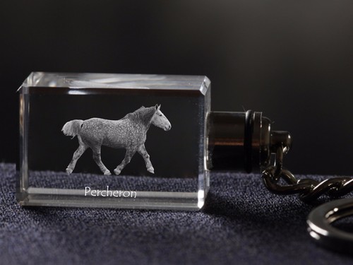 Porte clés percheron - percheron,, cheval