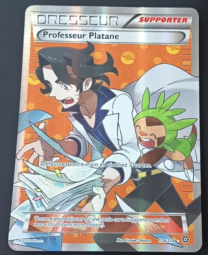 Carte pokémon professeur - carte,