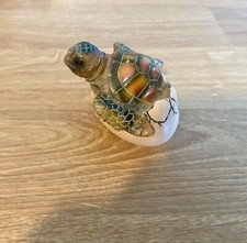Oeuf éclosion tortue - Turtle