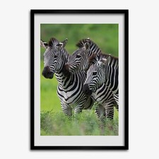 Photo 70x100cm Cadre Décor