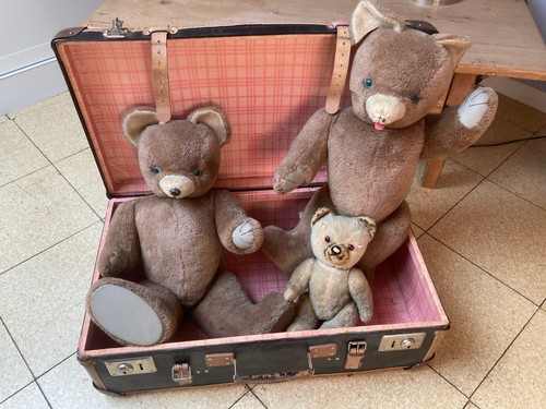 Ours peluche année 50 - en,