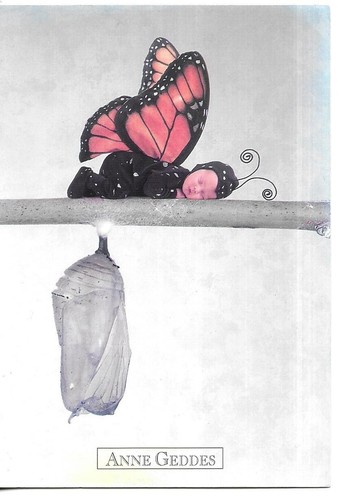 Rare carte postale - -, anne