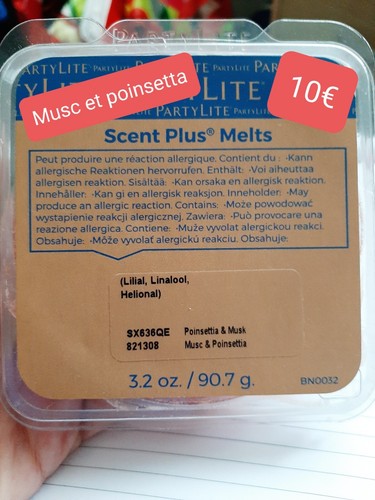 Galet partylite musc - musc, et