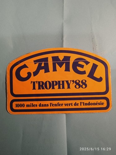 Autocollant sticker raid camel - sticker,