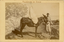 F. & E., Palestine et Syrie, voyageuse à dos d'âne Vintage albumen print. L