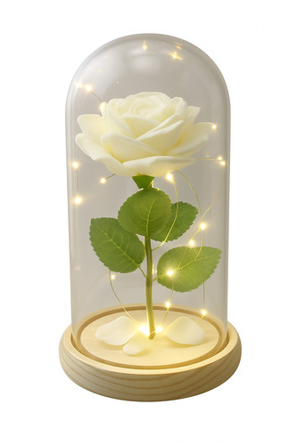 Led white forever rose - forever, in