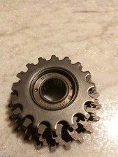 Regina BX roue libre 6