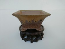 Pot à bonsaï Tokoname Japon