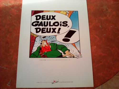 Sérigraphie astérix fils - sérigraphie,