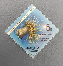 TIMBRE RUSSIE CCCP 1991 ANEMONE ANEMONIA SULCATA