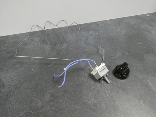 Thermostat four pour - four,