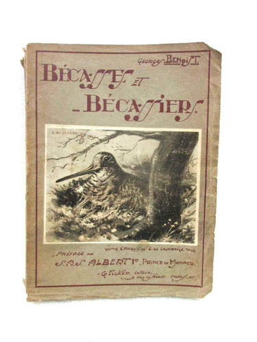 Bécasses bécassiers de - ,