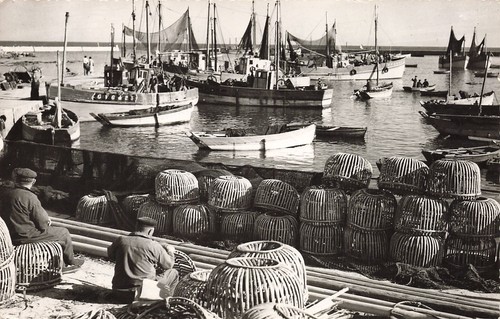 Lesconil casiers homards - 29,