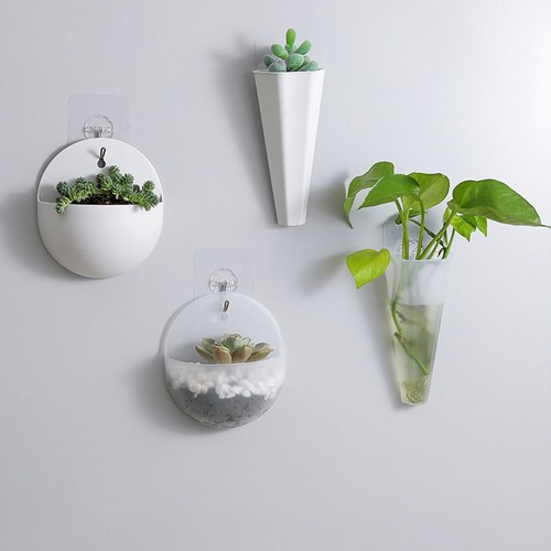 Plante vase fleur pots décor - fleur,