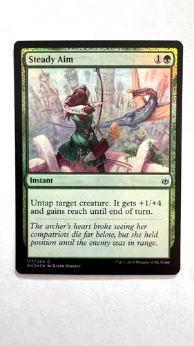 Steady aim 177 264 - aim, war