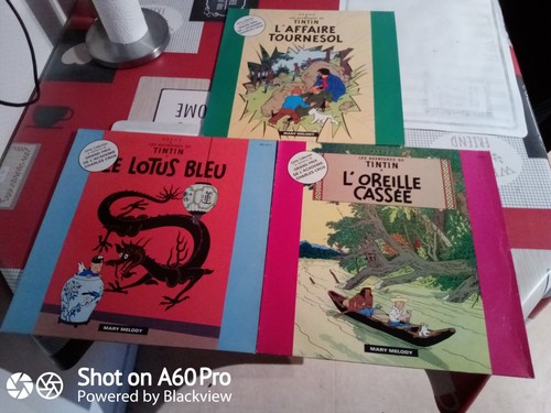 Lot disques vynil tintin - de,