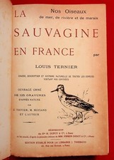 La sauvagine en France -