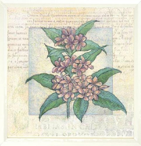 Framed flower fresco by - flower,