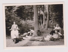 photo ancienne 🎞️ scooter Vespa camping en forêt années 1950