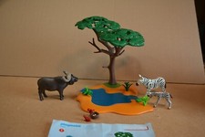 Buffle africain avec zèbres