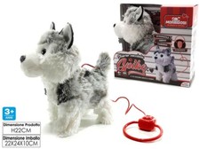 X Spike Tendre Chiot