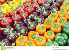50 graines de poivrons multicolores permaculture provençale Bell Pepper