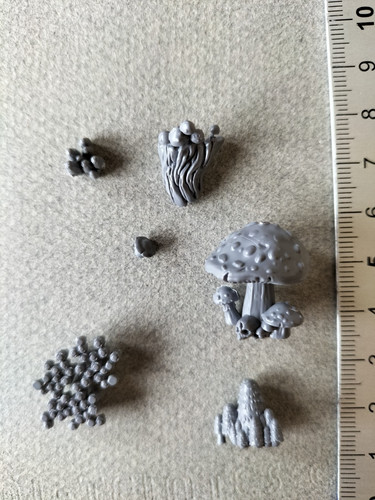 Mushroom lot - mushroom,