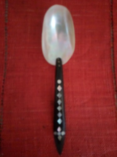 Cuillère caviar corne - caviar,
