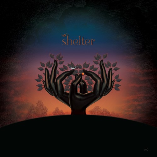 Laughing stock shelter - laughing,