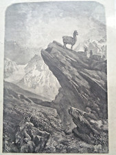 GRANDE GRAVURE ANCIENNE Chasse